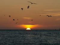 Venezuela Los Roques atardecer